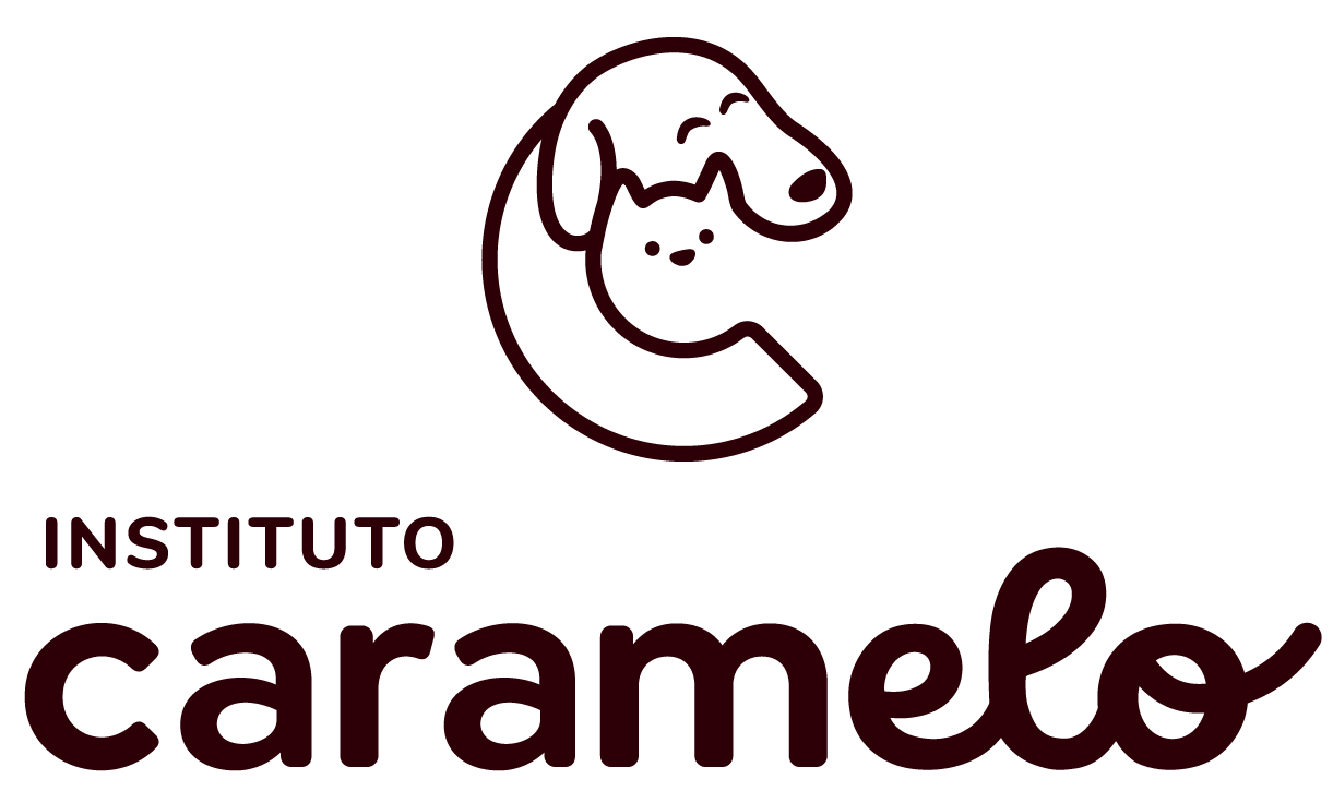 instituto